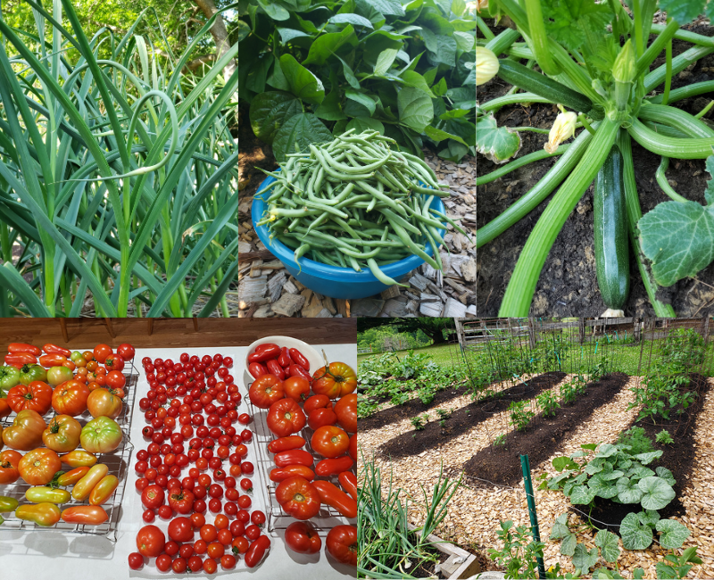 A collage of five photos from the 2022 garden season.