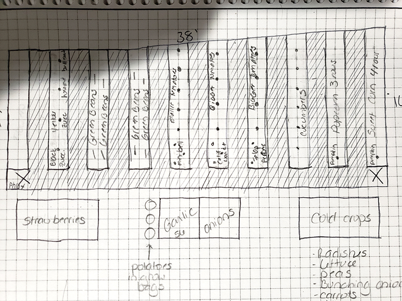 The initial 2022 garden plan.