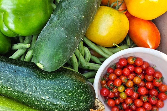 August 2024 Homesteading Update: Saving Seeds, Eggs & BLTs
