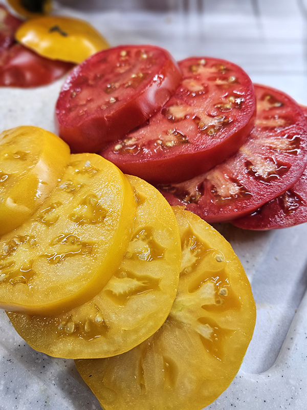 Sliced tomatoes