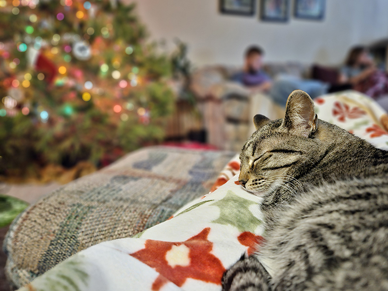 Relaxing on the couch