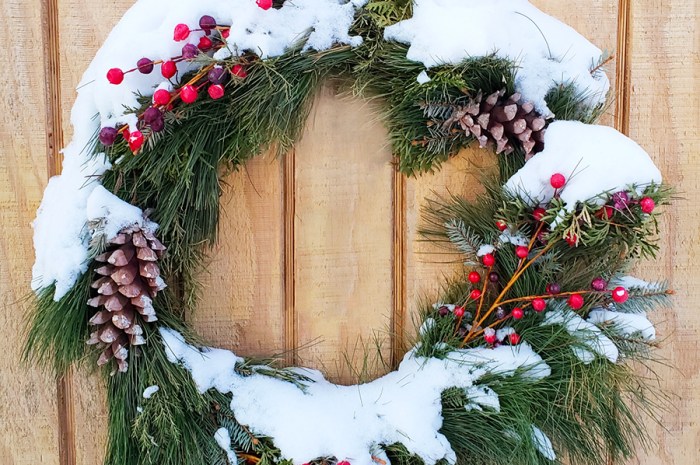2024 Gift Guide For Gardeners, Cooks, And Chicken Keepers