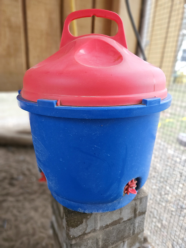 Chicken waterer