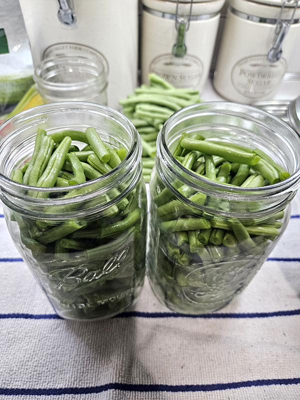 jars of green beans - July 2024 Update