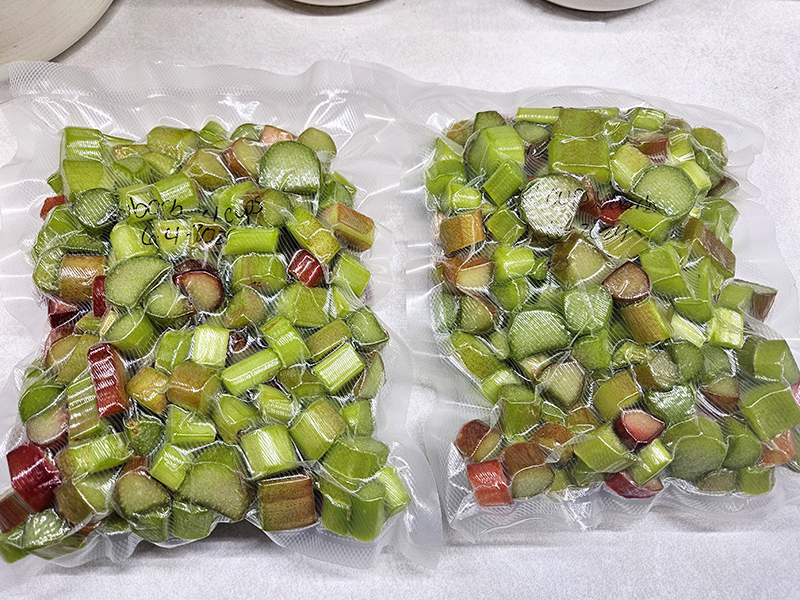 Bags of frozen rhubarb - June 2024 part 1