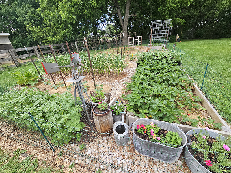 June 2024 Garden