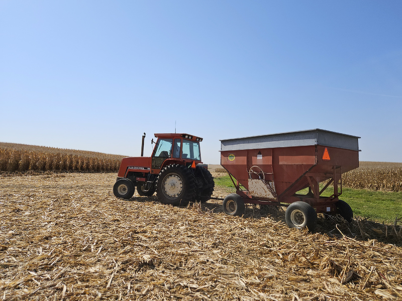 Tractor and wagon in a corn field - October 2024 Homesteading Update