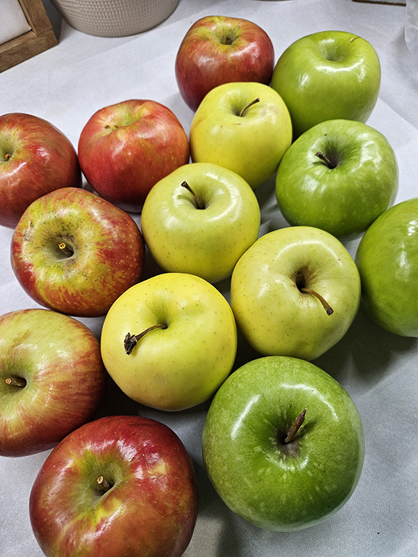 3 different apple varieties - October 2024 Homesteading Update