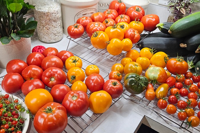 September 2024 Homesteading Update: Canning, Cooking & Time