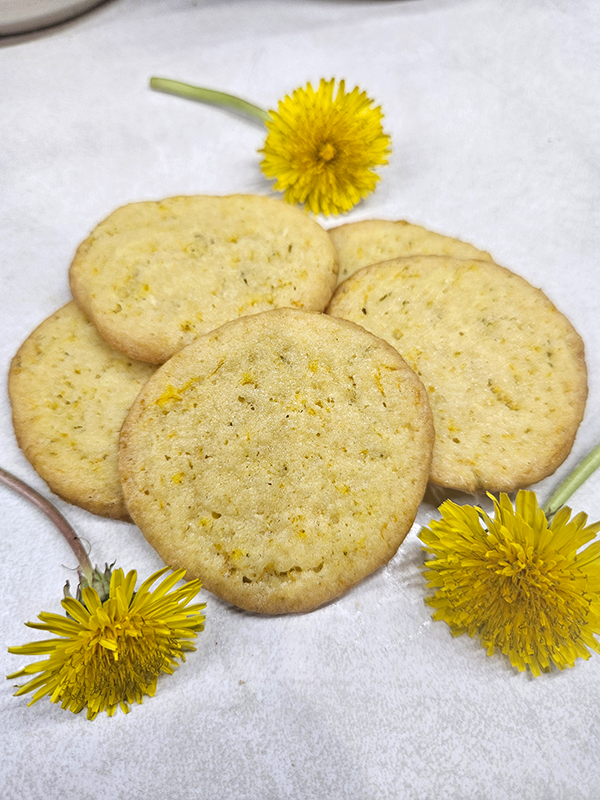 A pile of dandelion cookies - April 2025 Homesteading Update