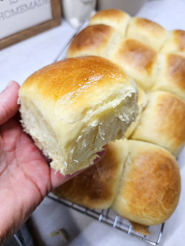 Me holding up a Hawaiian roll - April 2025 Homesteading Update