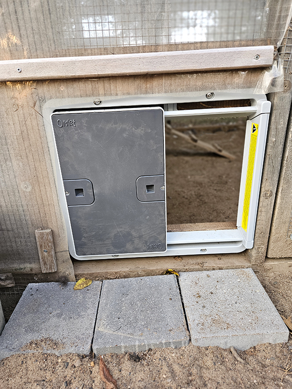 a gray automatic chicken door that is open