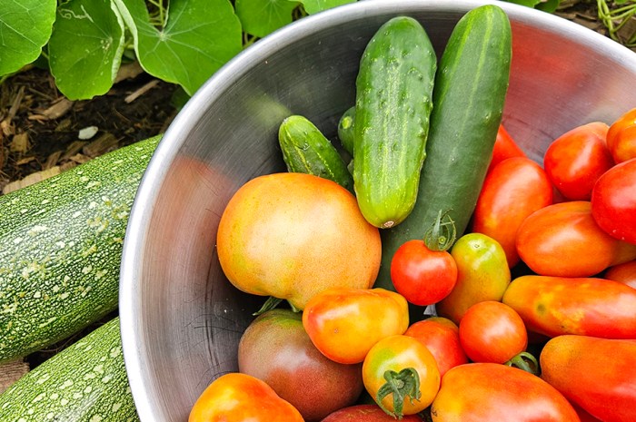 2025 Holiday Gift Guide Part 3: Gardening & Preserving Food