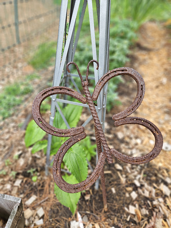 June 2025 Homesteading Update