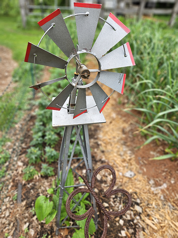 June 2025 Homesteading Update