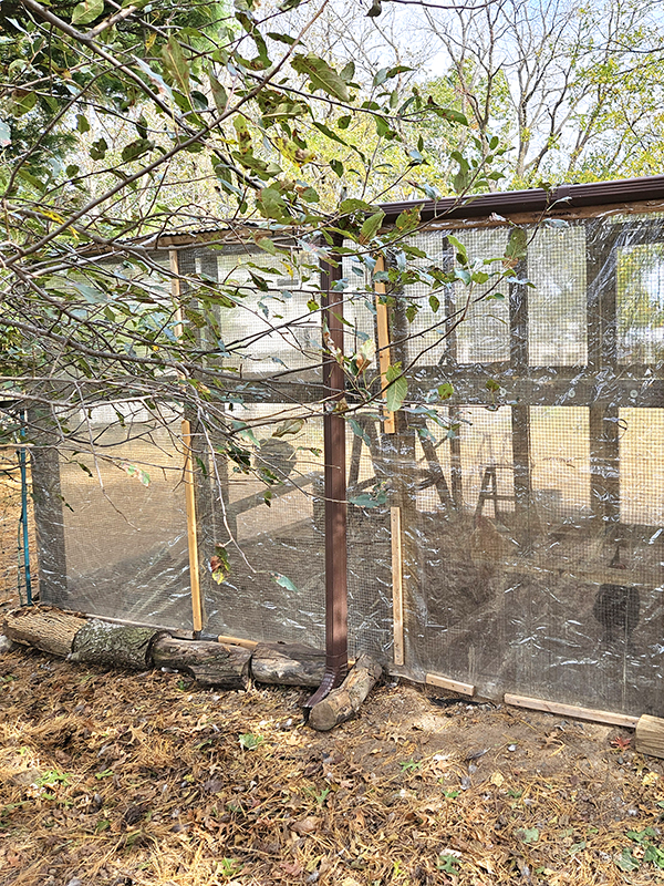 Plastic on the coop