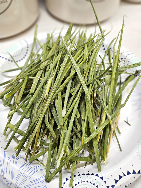 Green onions