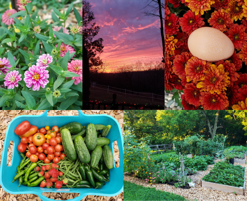 A bunch of images that show a little bit about my and my semi-homestead life.