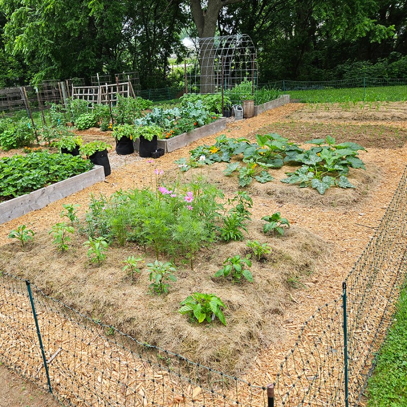 Four in-ground garden beds - advantages