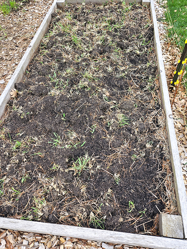tilled soil in a raised bed - advantages of in-ground garden beds