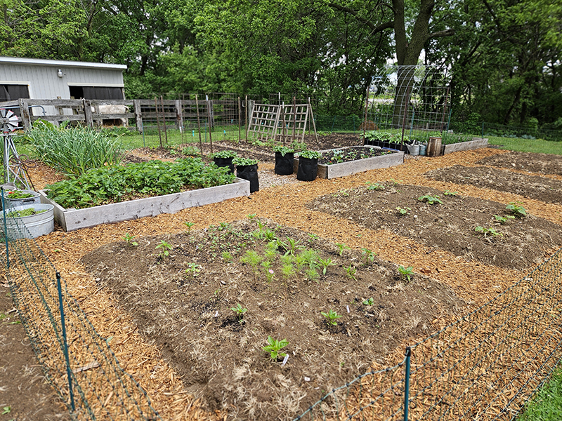 The new raised beds