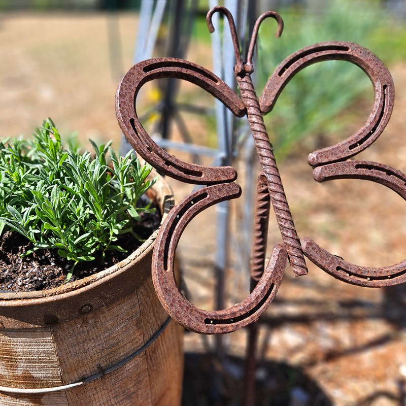 A rusty welded butterfly made out of horseshoes and an old barrel filled with growing lavender - Attracting Butterflies In The Midwest