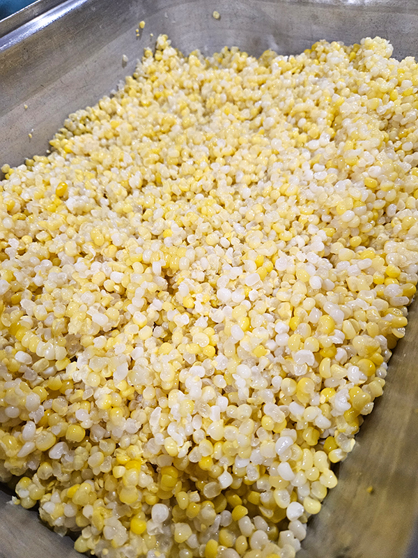 A pan of kernels  - August 2025 Homesteading Update