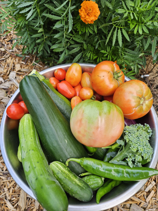 A bowl of produce - August Gardening Checklist