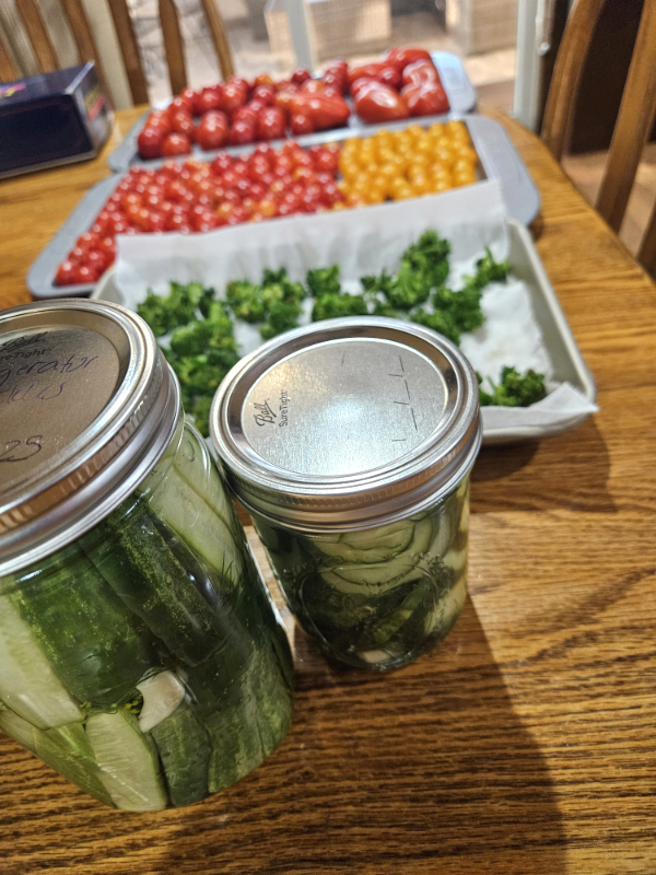 Jars of pickles and frozen vegetables - August Gardening Checklist