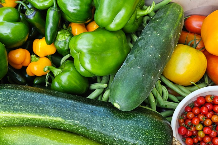 Beginner-Friendly Vegetables To Grow For High Yields