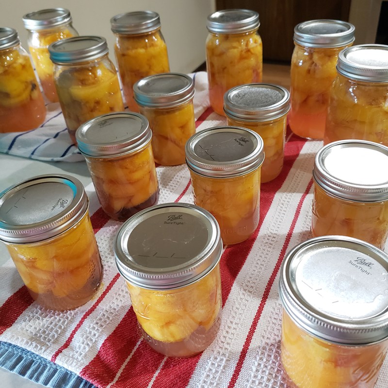 Jars of canned peaches