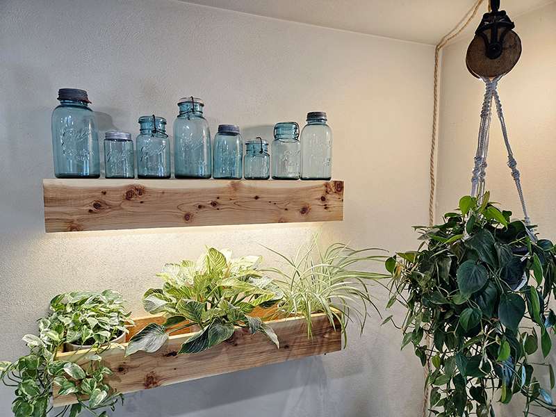 Antique jars and houseplant decorations