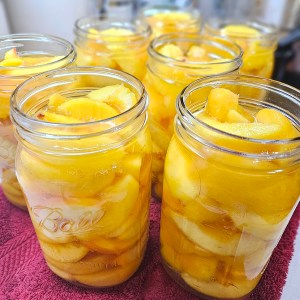 Canning Fresh Peaches