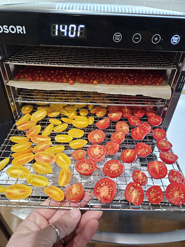 Dehydrating tomatoes - Cherry Tomatoes Recipes