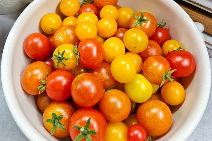Cherry Tomato Recipes & Preserving Tips – 6 Different Ways