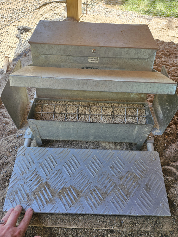 A trundle feeder - Summer Chicken Care Checklist