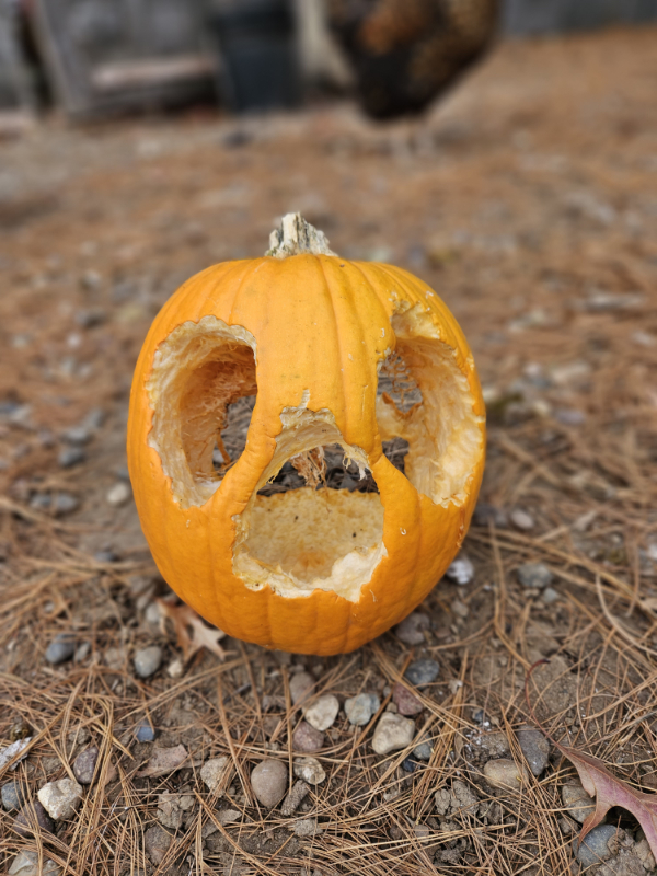 A carved pumpkin with jagged edges