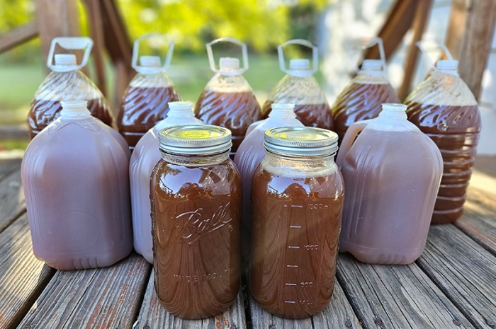 Making Homemade Apple Cider On An Old Antique Cider Press