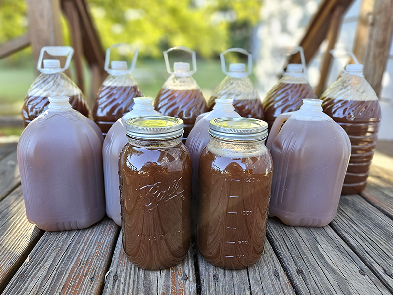 11 gallons of fresh, homemade apple cider sitting on a wooden deck