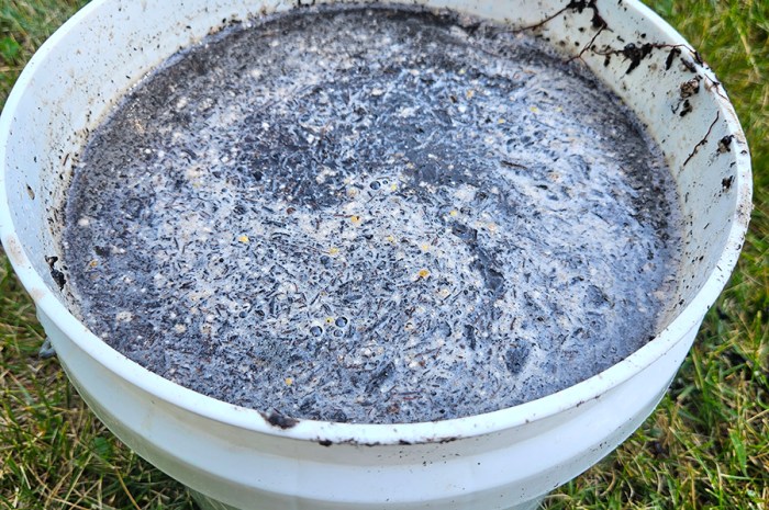 Simple Compost Tea – A Natural Fertilizer “Drink” For Your Plants