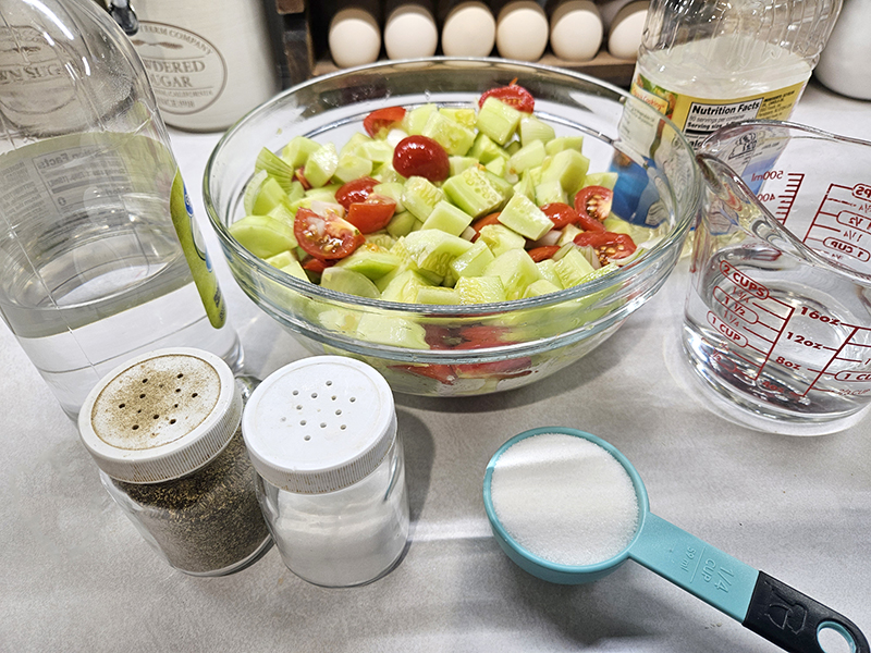 The ingredients for Tomato, cucumber, and onion salad