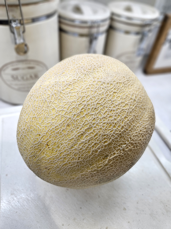 A whole muskmelon ready for cutting