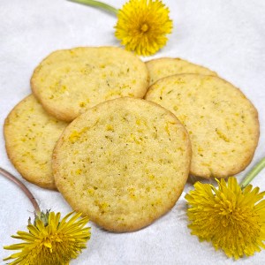 A pile of Dandelion Shortbread Cookies and a few blooms