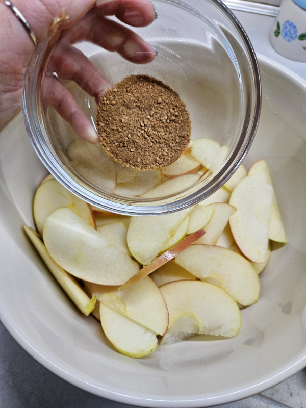 Maple sugar and cinnamon - Dehydrated Apple Slices