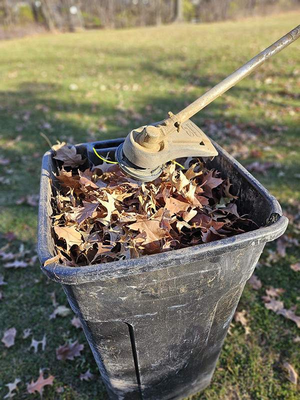 A large black trash can full of leaves with a weed eater above it ready to mulch the leaves. 