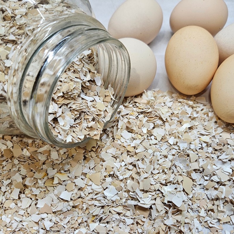 A glass jar on its side with crushed eggshells spilling out of it and whole eggs at the top.