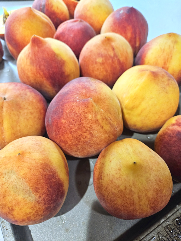 Several peaches whole and washed - Freezing Peaches The Simple Way
