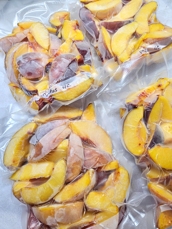 Bags of frozen vacuum sealed bags
