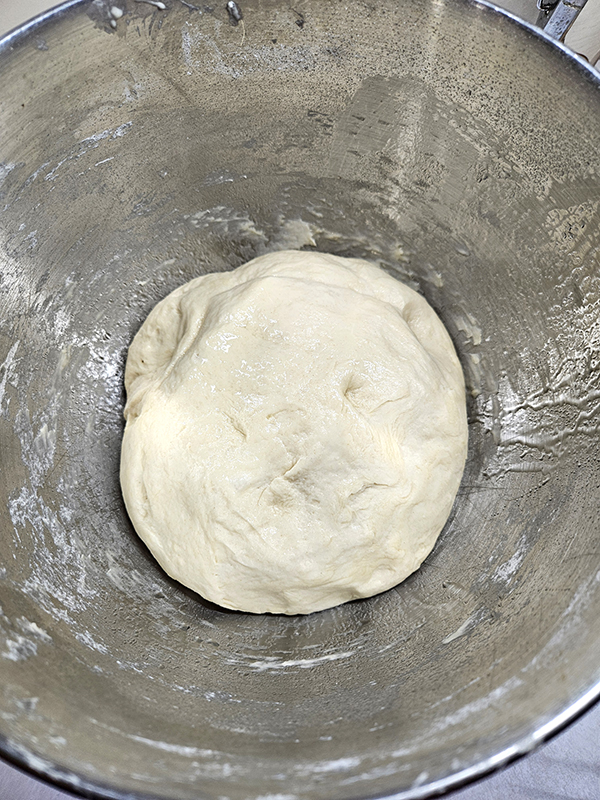 Dough fully formed ready for the first proof