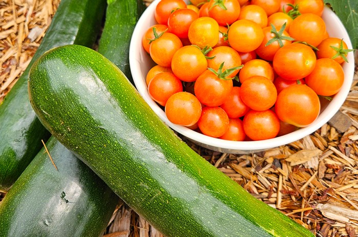 5 Gardening Lessons To Be Aware Of And Accept As Facts